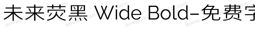 未来荧黑 Wide Bold字体转换